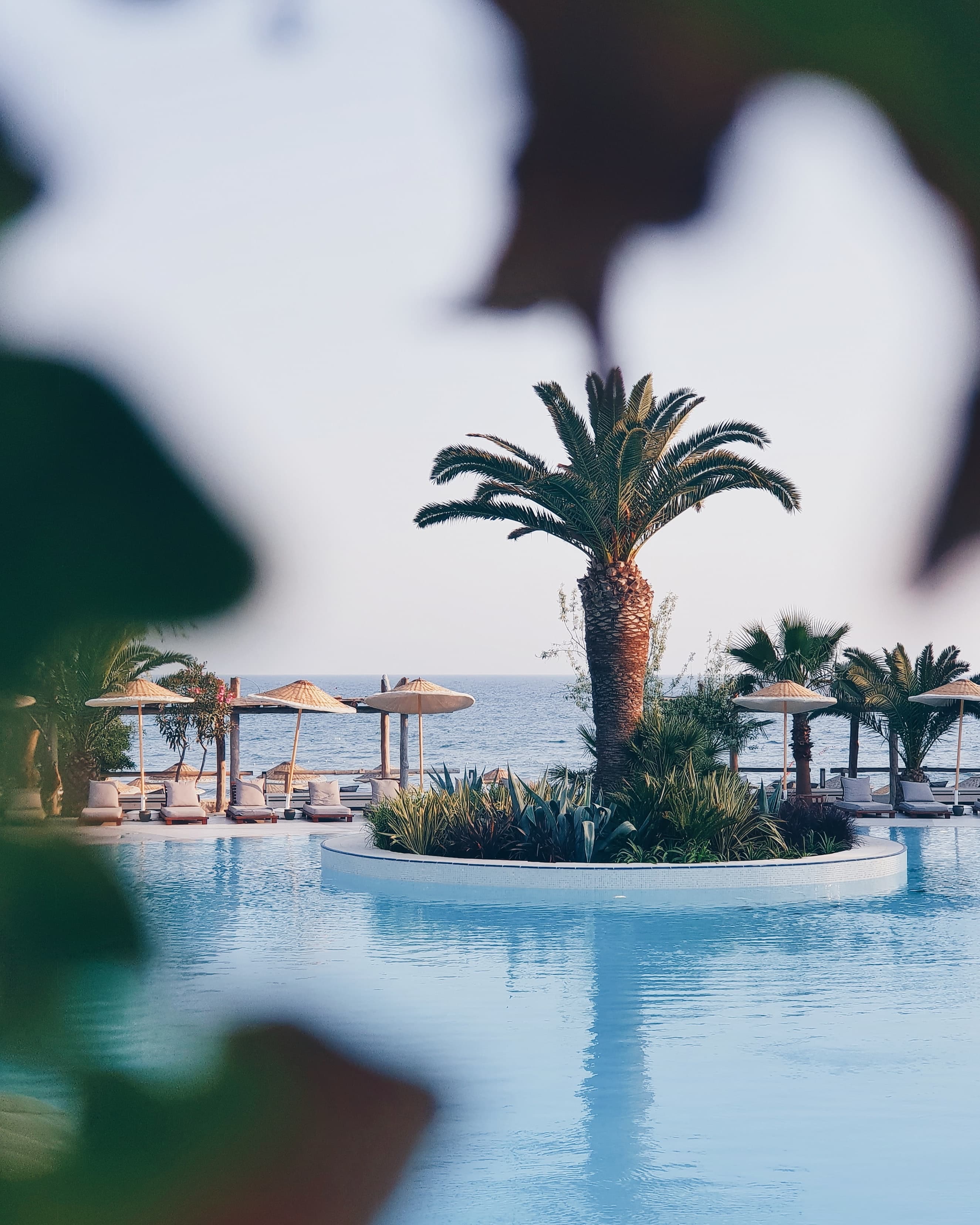 Photo of Four Fully Redeemable Pool Days For The Summer