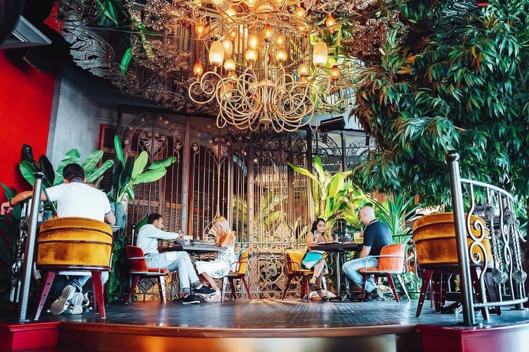 Photo of Step into the Jungle with Playbook & Mama Zonia