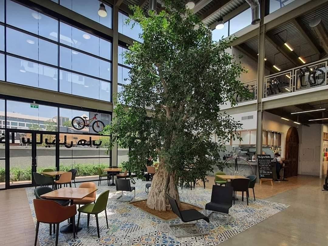Cycle Bistro (Jumeirah) photo