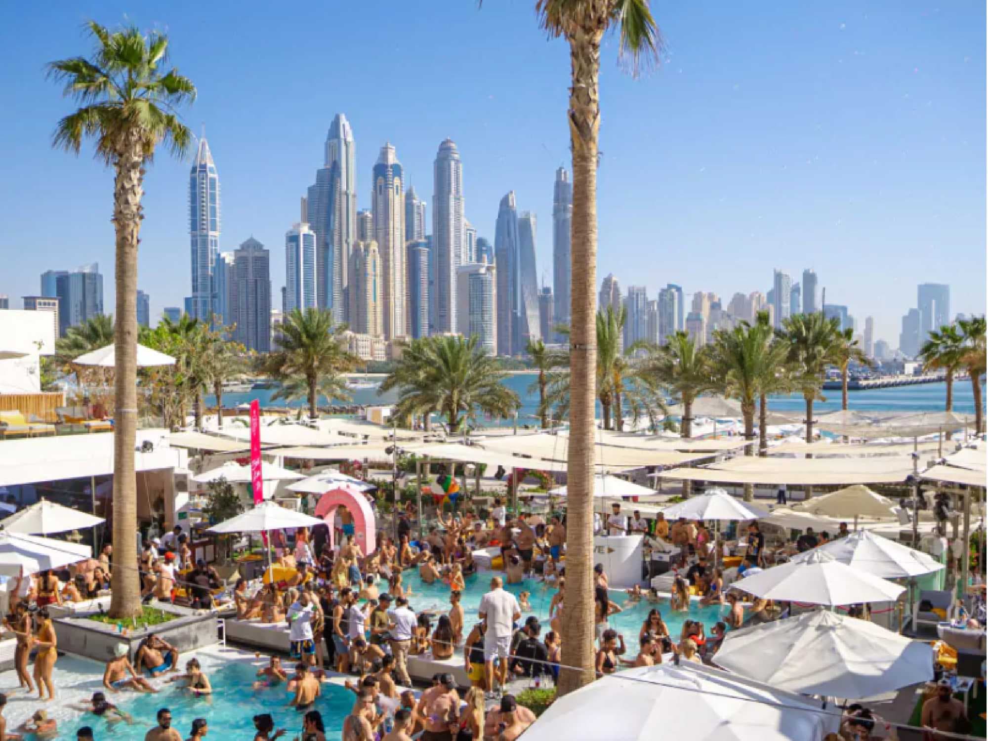 The Social Pool photo