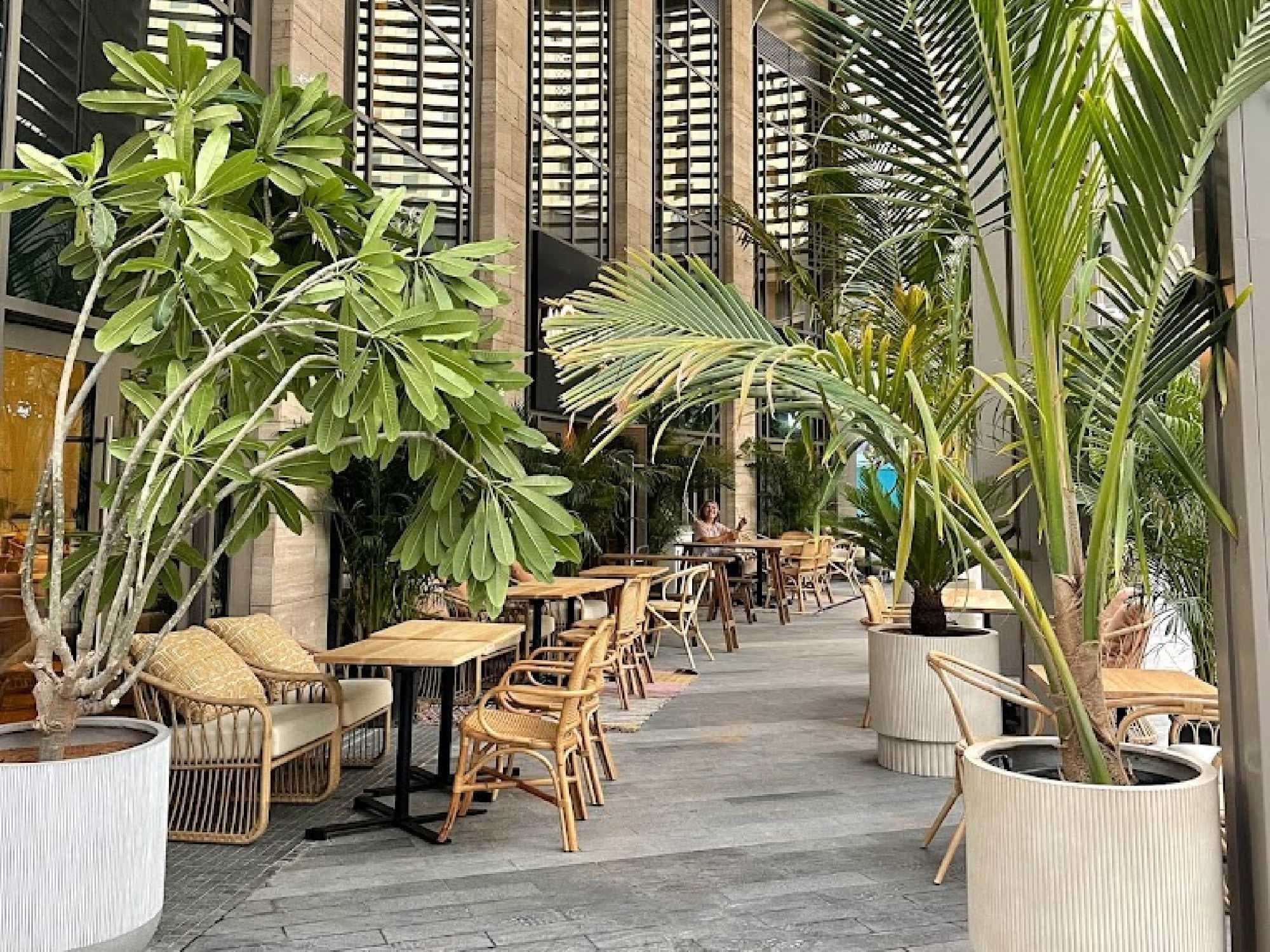 Mondoux (JBR) photo