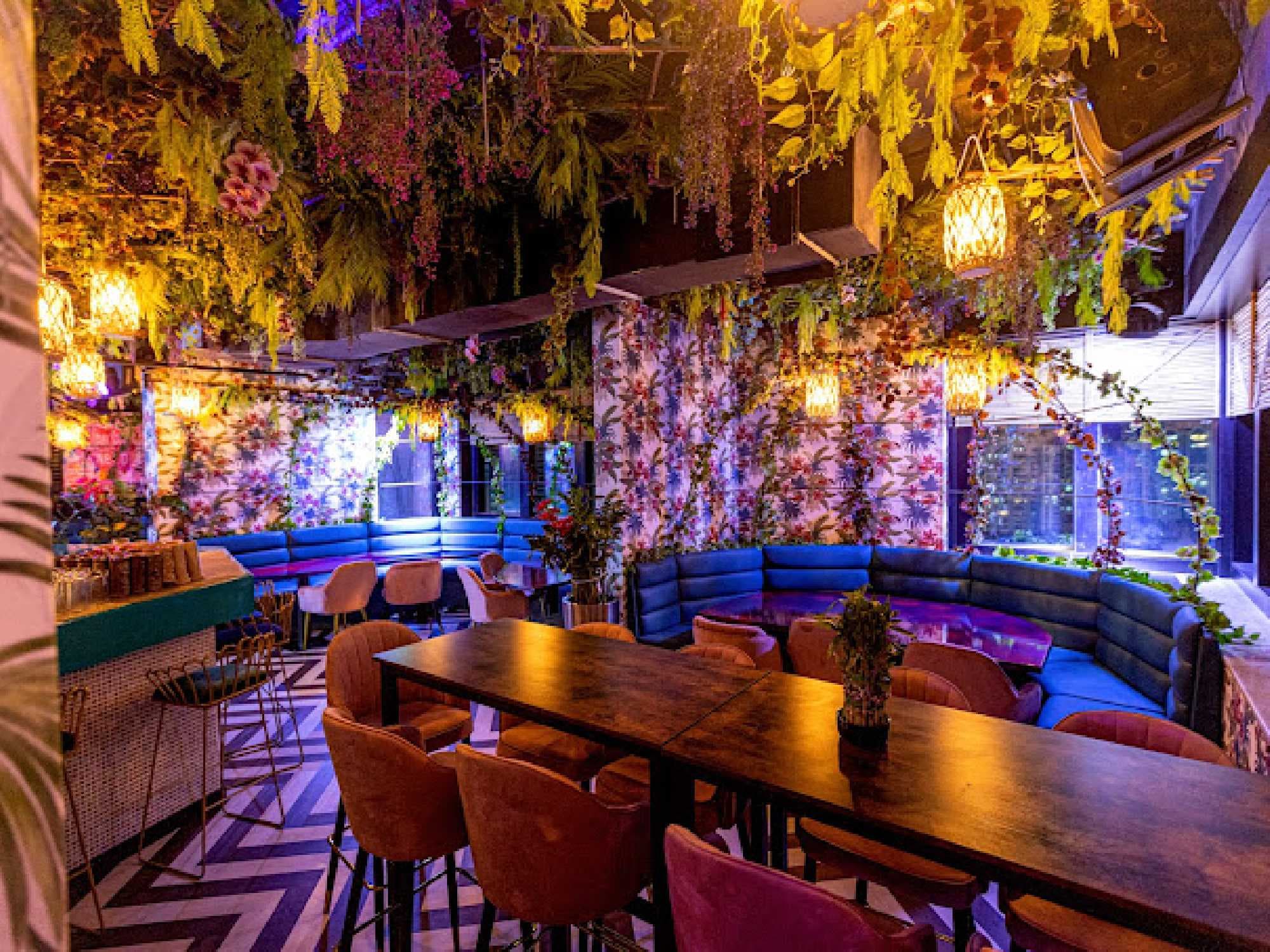Bambu photo