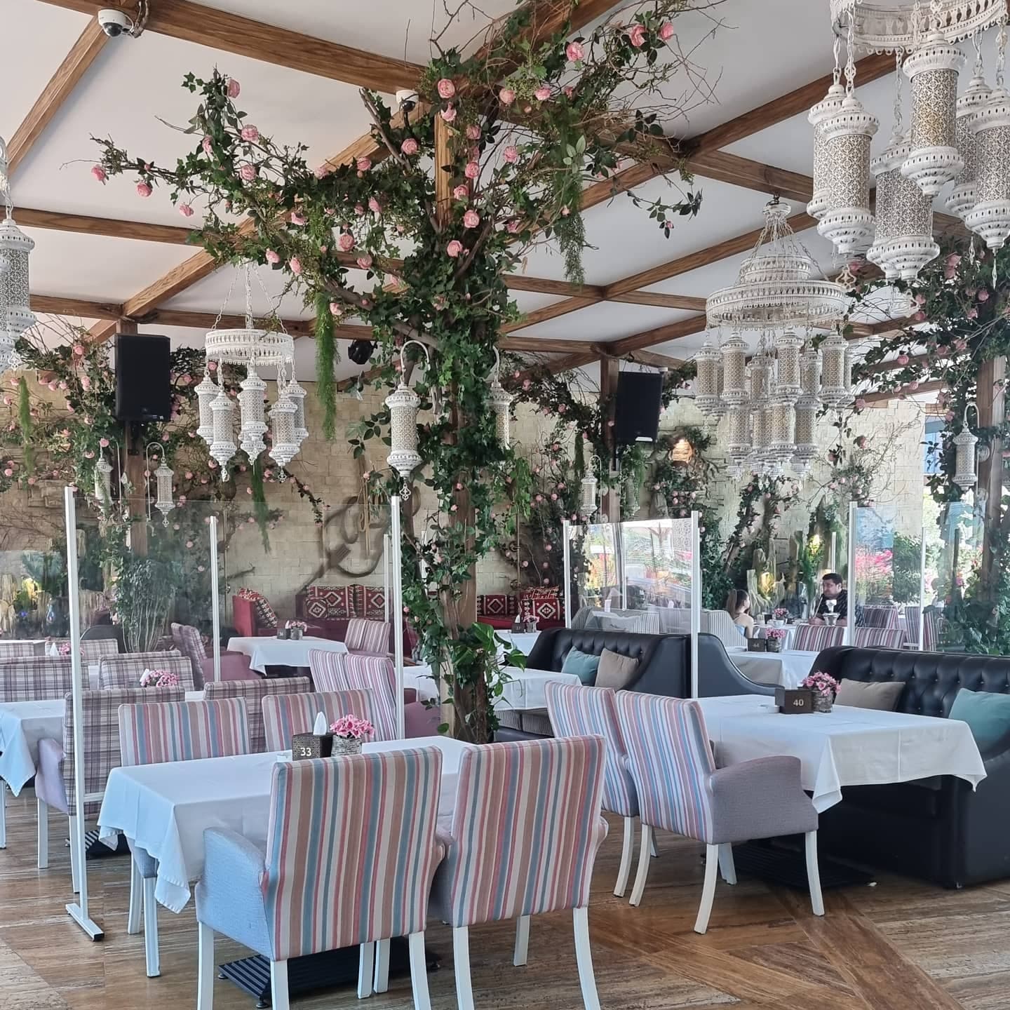 Cello Restaurant & Cafe photo