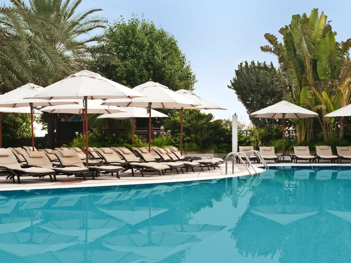 Hilton JBR - Pool & Beach photo