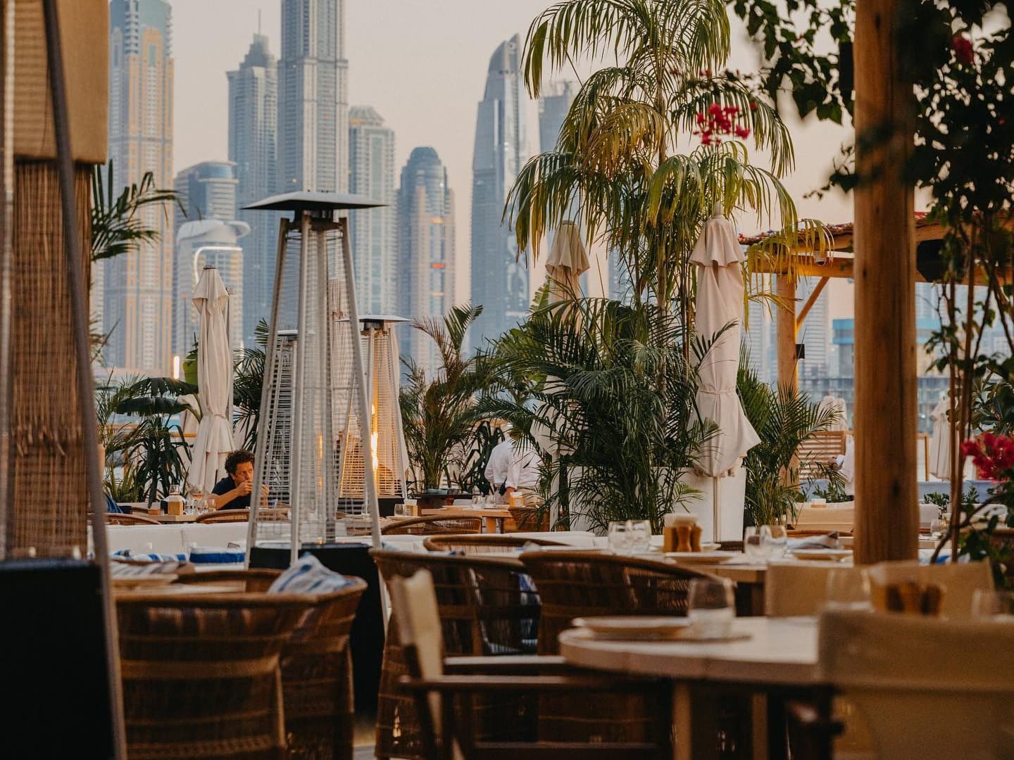 Surf Club (Palm West Beach) photo