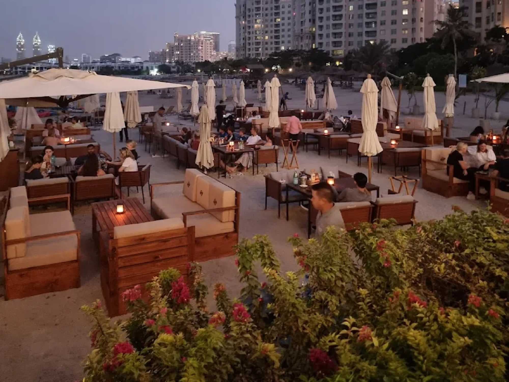 Logs and Embers photo