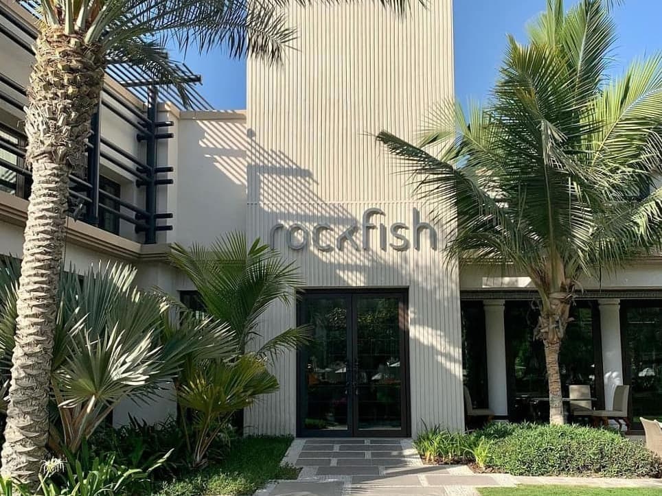 Rockfish photo